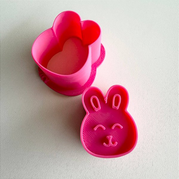 D260015 - Ejetor Coelho