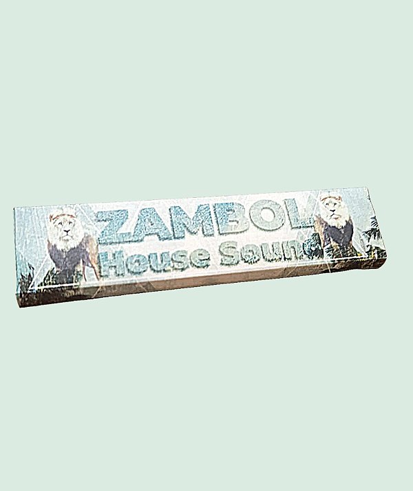 SEDA BEM BOLADO - ZAMBOL HOUSE SOUND