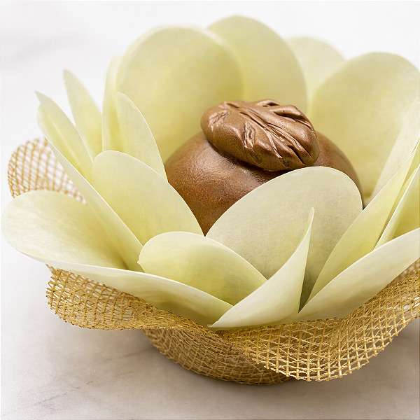 Kit 50 Forminhas Lunita Papel com tela - Amarelo Bebê SS07