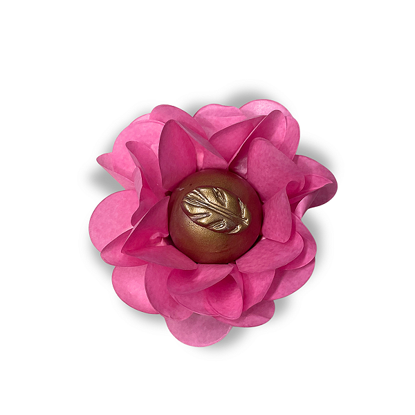 Kit 25 Forminhas Lunari  Papel - Goiaba