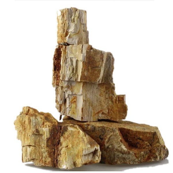 ROCHA WFISH NATURAL MADEIRA PETRIFICADA 10-30CM 20kg