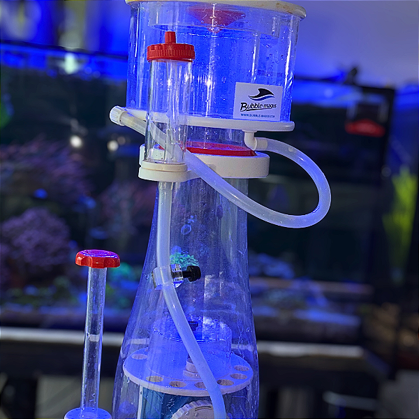 Skimmer Bubble-Magus Curve A8 DC24