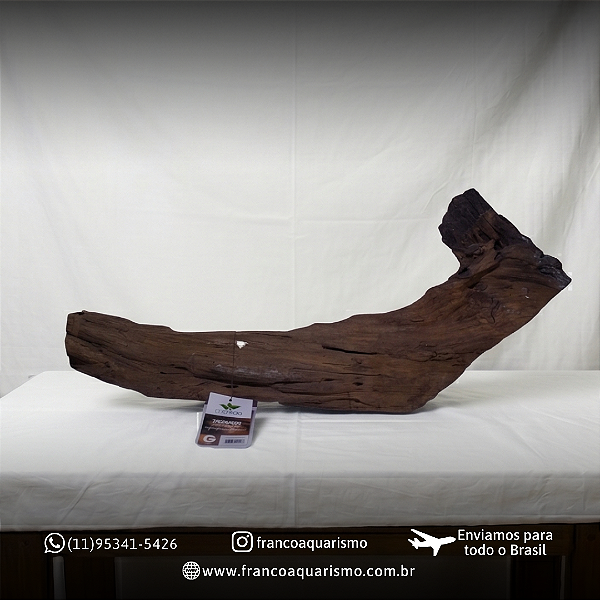 Tronco de madeira tratada Mbreda – Peça Ùnica