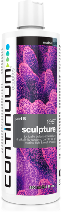 CONTINUUM REEF SCULPTURE PART B LIQUID - 500 ml
