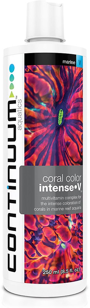 CONTINUUM CORAL COLOR INTENSE V - 125 ml