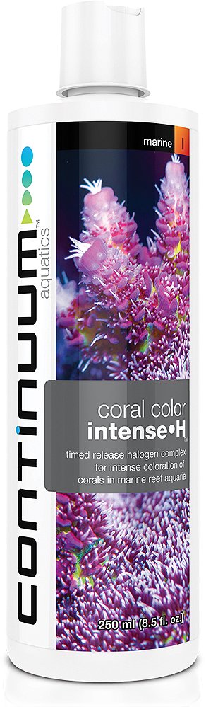 CONTINUUM CORAL COLOR INTENSE H - 500 ml