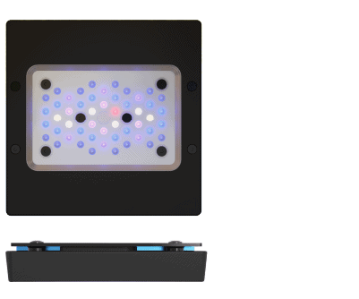 Ecotech Marine Radion XR15 - G6 - BLUE