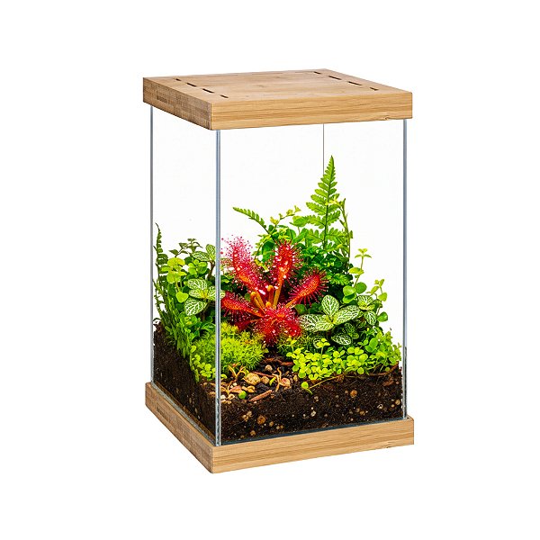 Aquael Terrarium