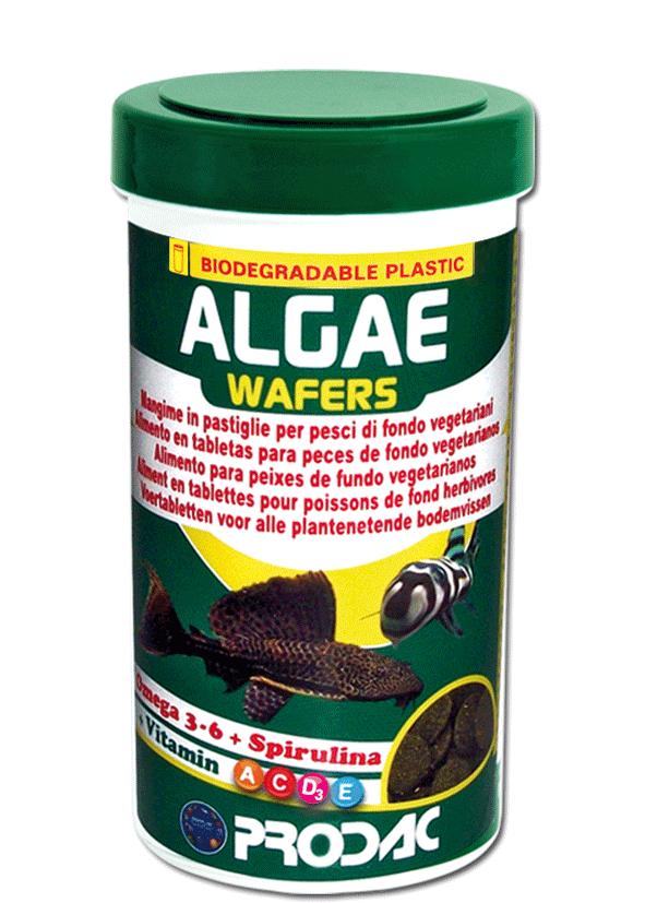 Ração Prodac Tropical Algae Wafers 125G