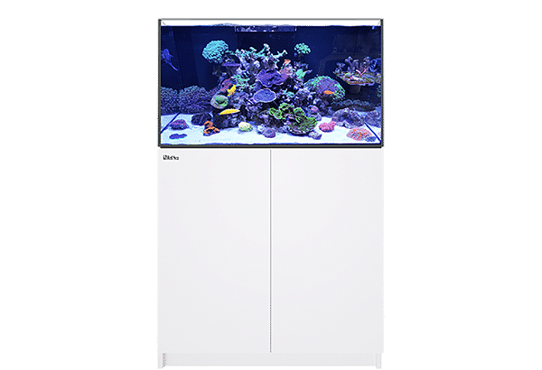 TUBO DE CAIDA DE AGUA DOWNPIPE COM REGISTRO RED SEA REEFER 250 - 525