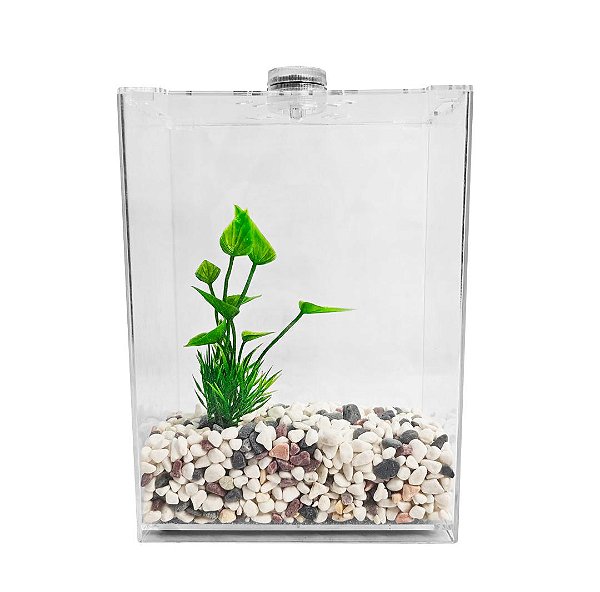Beteira acrílico com LED Soma NB-3000K KIT com Substrato e Planta (3L)