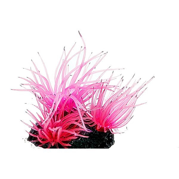 Enfeite de Silicone Soma anêmona Long Tentacle Rosa - Multi