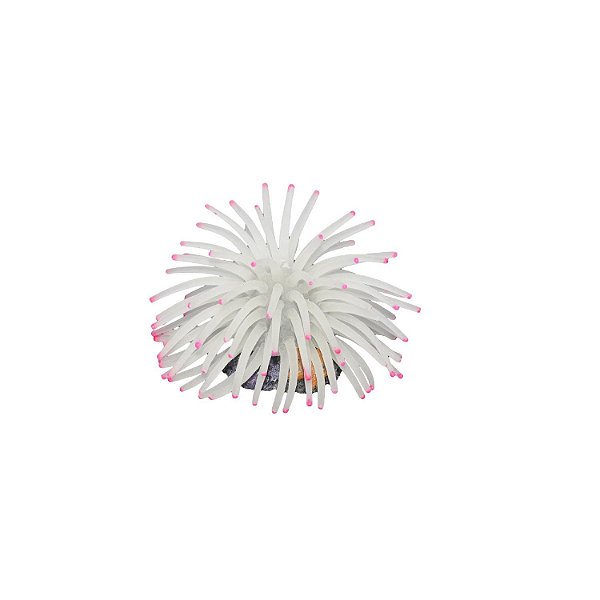 Enfeite de Silicone Soma anêmona Short Branca 6 cm
