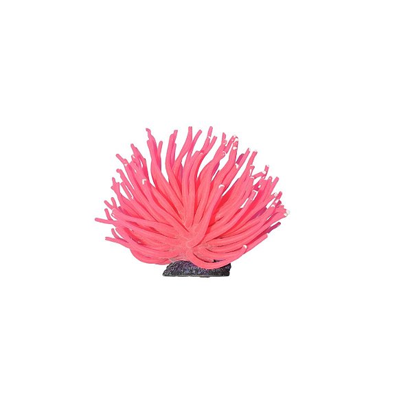 Enfeite de Silicone Soma anêmona Short Rosa 6 cm