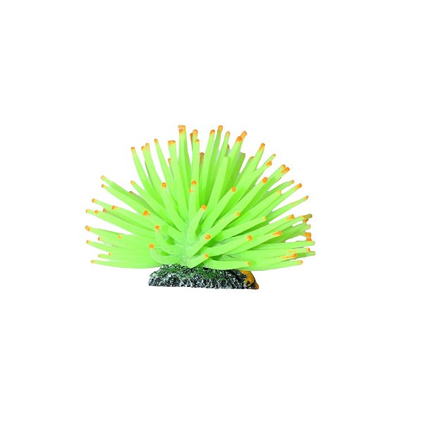 Enfeite de Silicone Soma anêmona Short Verde 6 cm