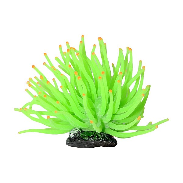 Enfeite de Silicone Soma anêmona Short Verde 11 cm