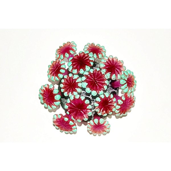 Enfeite de Silicone Soma Coral Alveopora Roxa 02