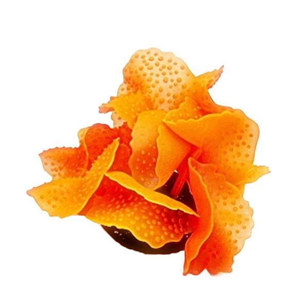 Enfeite de Silicone Soma Coral Mushroom Spotted Vermelho 02