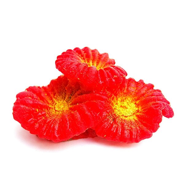 Enfeite de Silicone Soma Coral Plate Vermelho