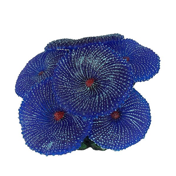 Enfeite de Silicone Soma Coral Ricordea Azul 02