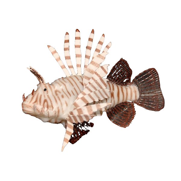 Enfeite de Silicone Soma Jelly Lionfish