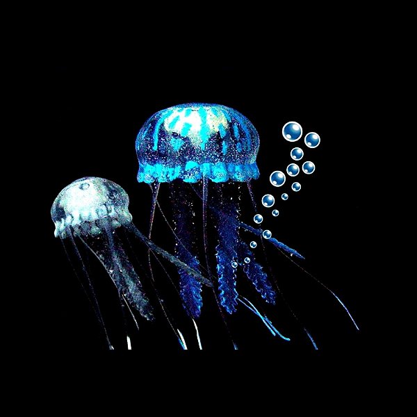 Enfeite de Silicone Soma Jellyfish Combo Azul / Branca (md/Pq)