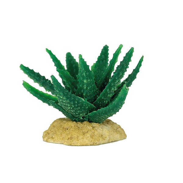 Enfeite de Silicone Soma Planta Cactus 03