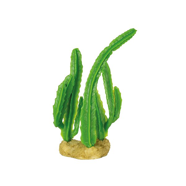 Enfeite de Silicone Soma Planta Cactus 04