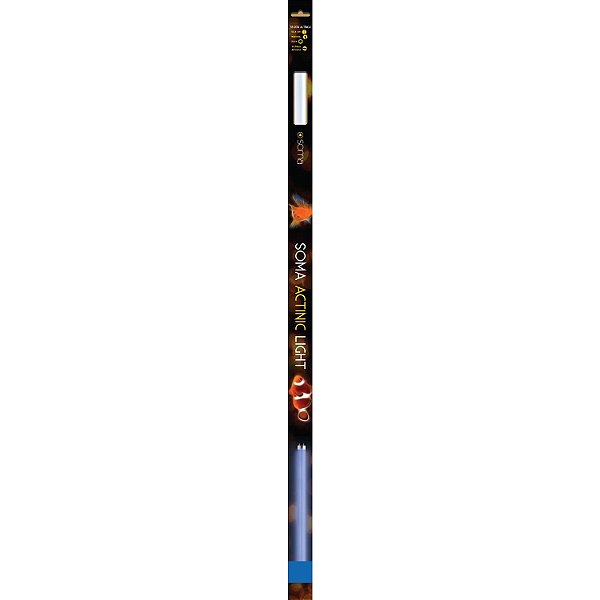Lâmpada fluorescente Soma T8 Actinic Light (azul) 20W