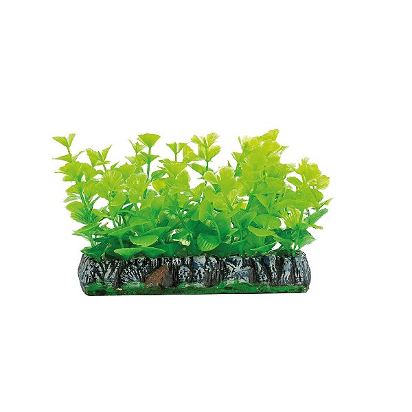 Planta plástica Soma Tapete Bacopa 10CM