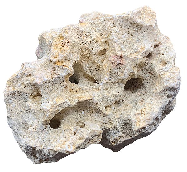 Rocha Marinha Soma Microsfera Reef Rock Sortido 13-20CM (cx)