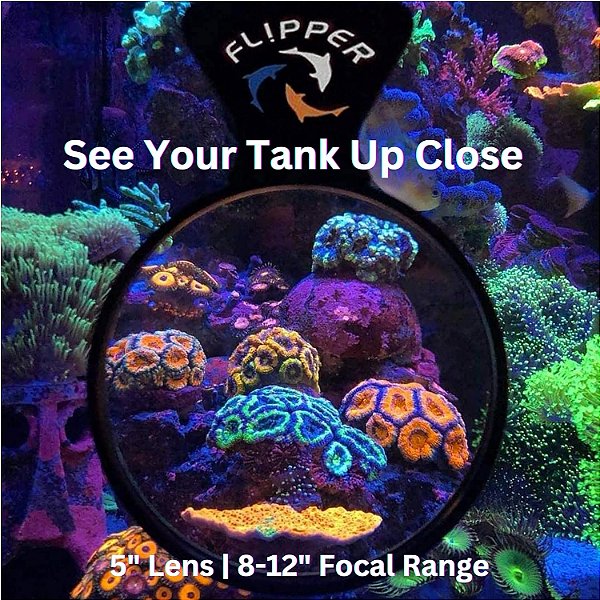 Flipper Filtro Laranja para DeepSee Viewer Max Clear - 12.5 cm de  diâmetro