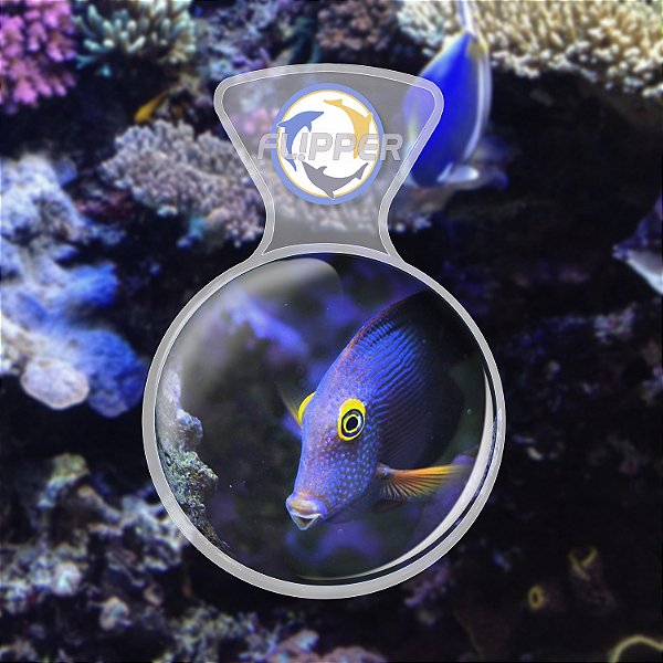 Flipper DeepSee Viewer Max Clear - 12.5 cm de  diâmetro