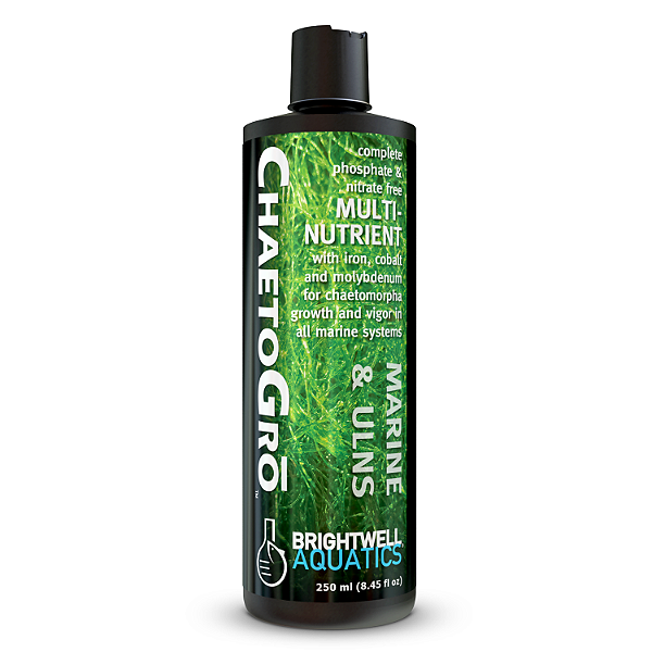 Chaeto Gro Brightwell Aquatics 500ml