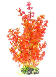 MAXXI PLANTAS AL-12" 30CM