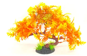 MAXXI PLANTAS KA-5" 12,5CM BONSAI