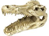 NOMOYPET NS-60 CRANIO CROCODILO 13,8X8,5X6,8CM