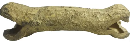 NOMOYPET NS-112 OSSO UMERO FURADO 18X5X6