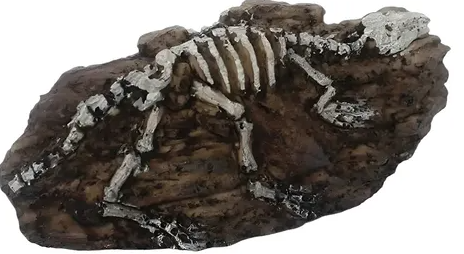 NOMOYPET NS-124 FOSSIL DE DINOSSAURO 14X4,5X5,5