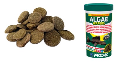 RACAO PRODAC TROPICAL ALGAE WAFERS
