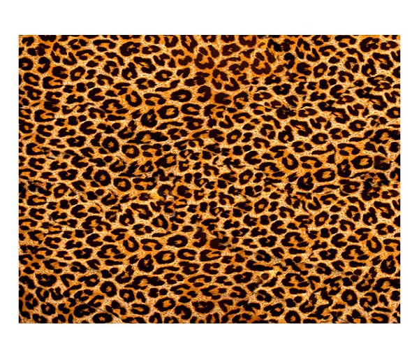 Jogo Americano (Kit 4 Unidades) Nerderia e Lojaria pele leopardo colorido