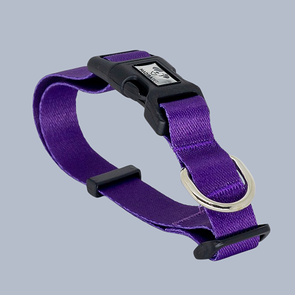 Coleira de Pescoço Roxo para Cães Madiba Pet
