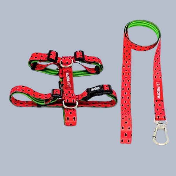 Kit Peitoral H e Guia de Passeio Melancia para Cães e Gatos - Madiba Pet