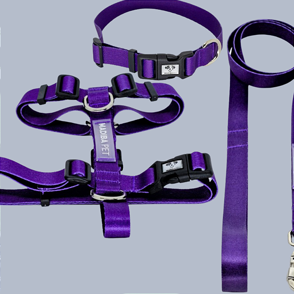 Kit Peitoral, Coleira e Guia Roxo para Cães e Gatos Madiba Pet