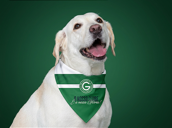 Bandana Goiás para Cães e Gatos