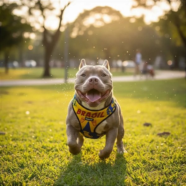 Kit Peitoral Tecido Fresh e Guia de Passeio Puro Suco do Brasil para Cães e Gatos - Madiba Pet