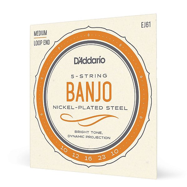 Encord Banjo 5C .010 D Addario Nickel-Plated Steel EJ61