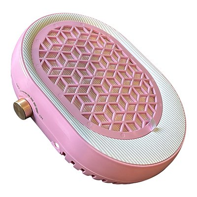 Sugador de Pó Oval SC808-1 100w D&Z