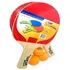 Kit Tênis De Mesa 2 Raquetes 3 Bolinhas Ping Pong Bel - 485000 Belfix