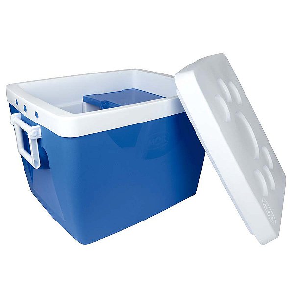 Caixa Térmica 75 Litros Cooler Grande Com Alça E Repartição Interna - Mor - Azul